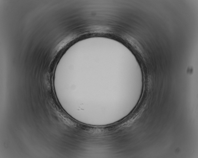 X0000090420970200708031102