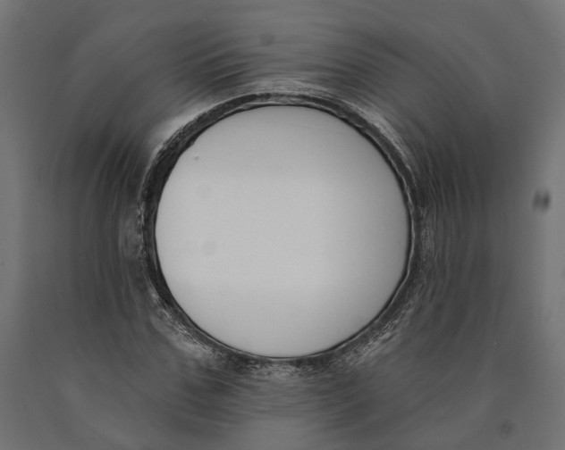 X0000090420971200708031102