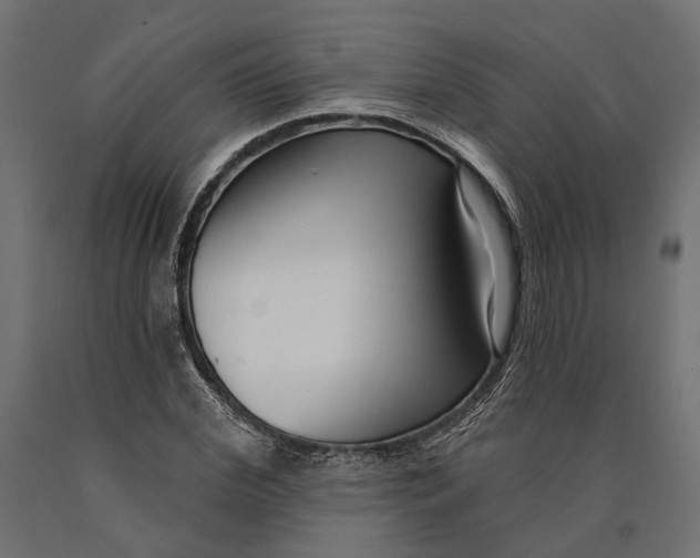 X0000090420972200708031102