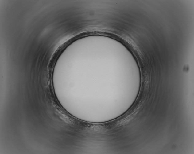 X0000090420974200708031102