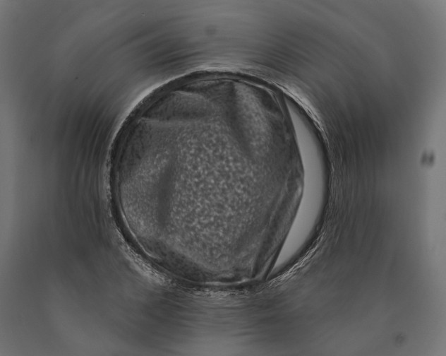 X0000090420976200708031102