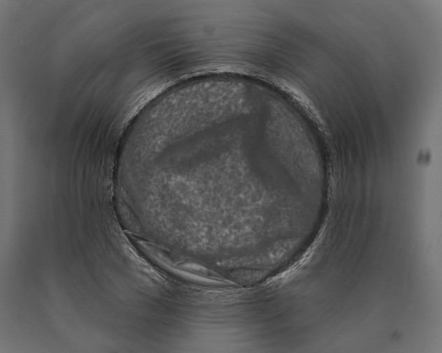 X0000090420977200708031102