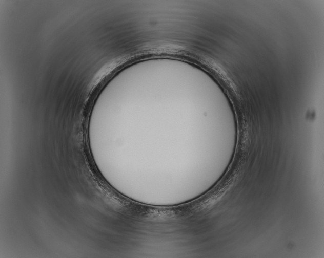 X0000090420978200708031102