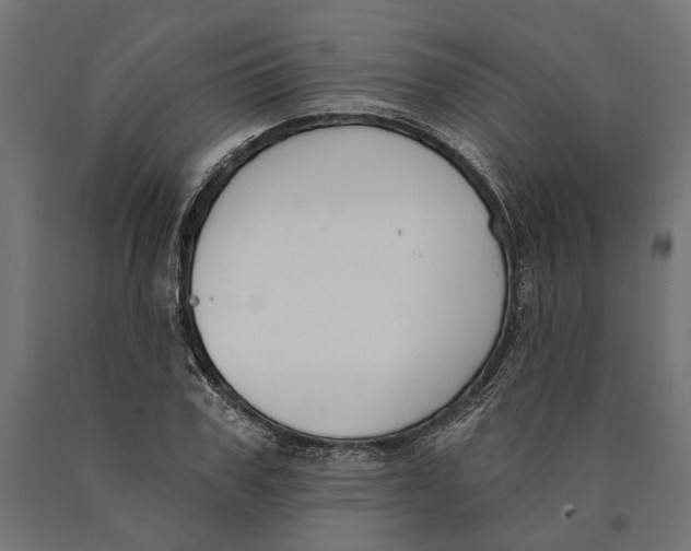 X0000090420979200708031102