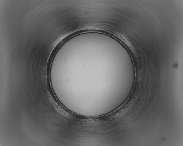 X0000090420980200708031102