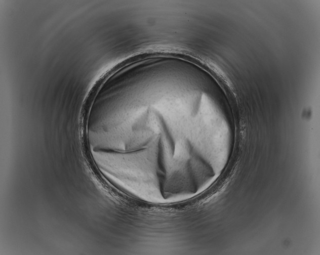 X0000090420981200708031102