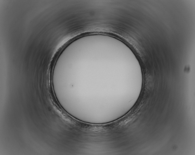 X0000090420982200708031102