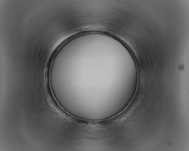 X0000090420983200708031102