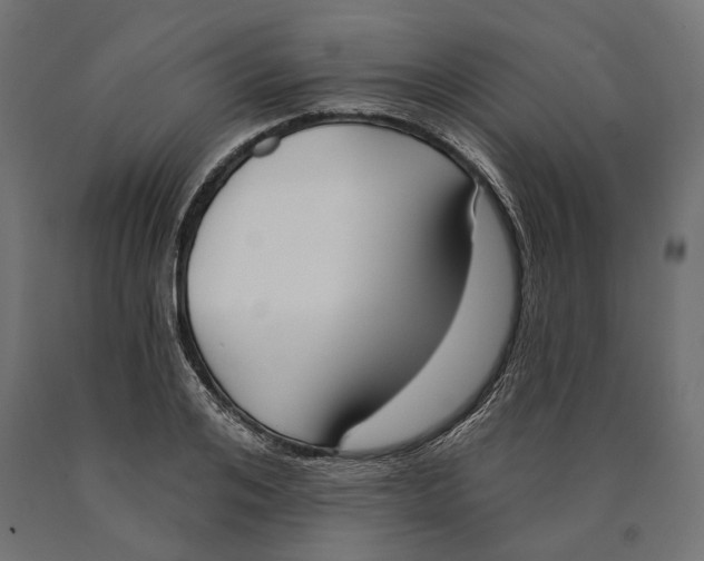 X0000090420984200708031102