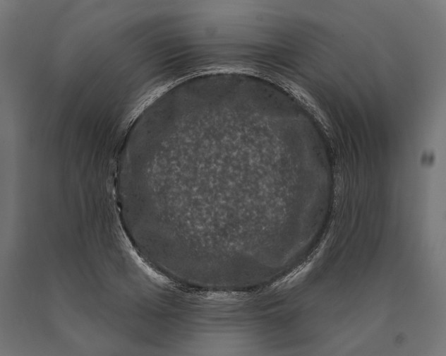 X0000090420985200708031102