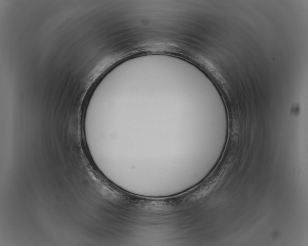 X0000090420986200708031102