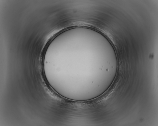 X0000090420987200708031102