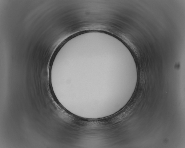 X0000090420988200708031102