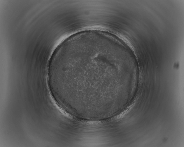 X0000090420989200708031102