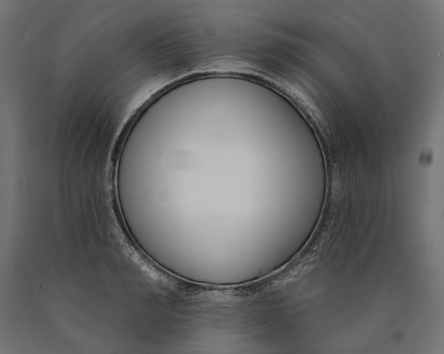 X0000090420990200708031102