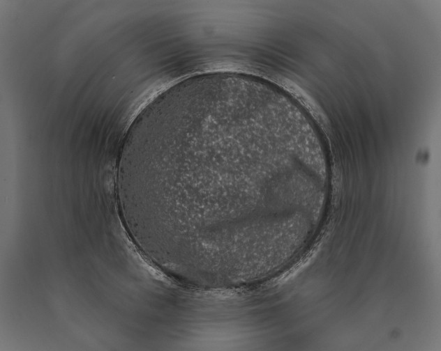 X0000090420993200708031102