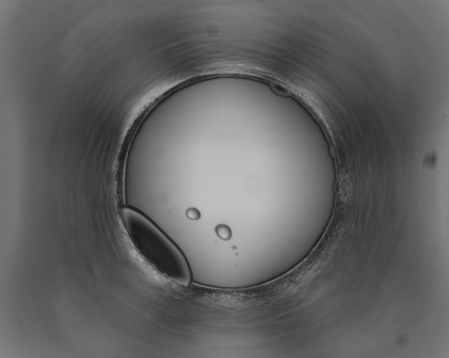 X0000090420995200708031102