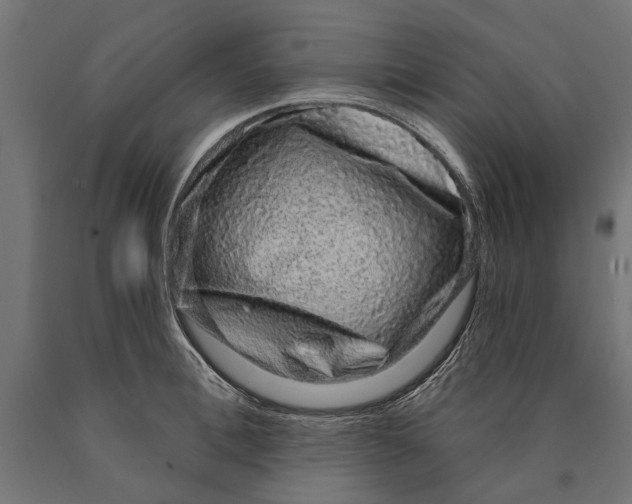 X0000090420996200708031102