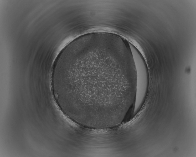 X0000090420997200708031102