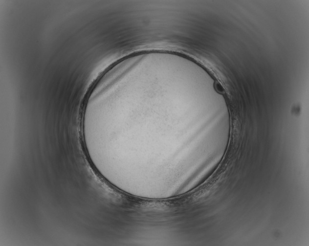 X0000090420998200708031102