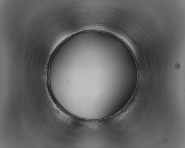 X0000090420999200708031102