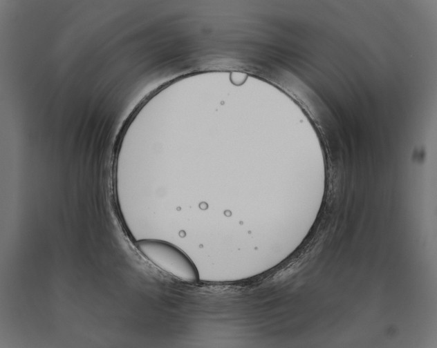 X0000090421000200708031102