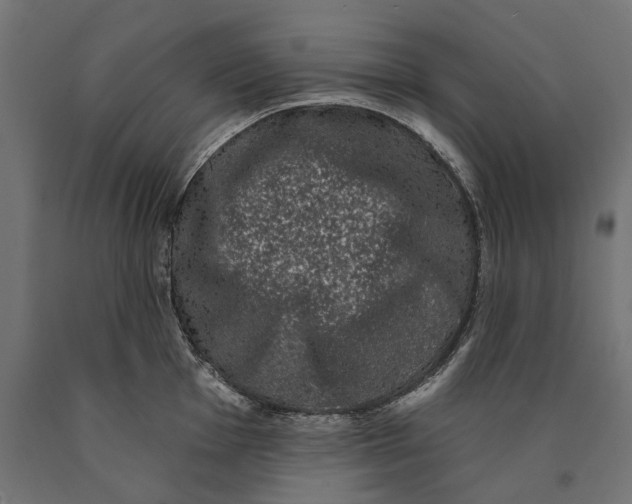 X0000090421001200708031102