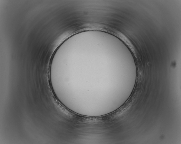 X0000090421002200708031102