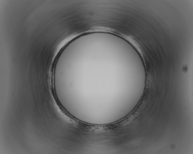 X0000090421003200708031102