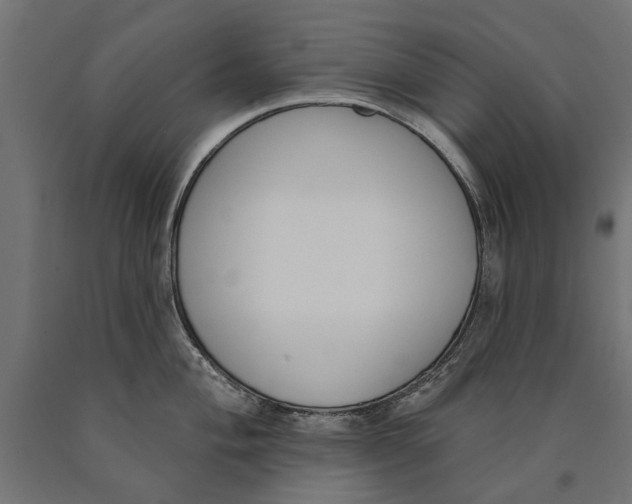 X0000090421004200708031102