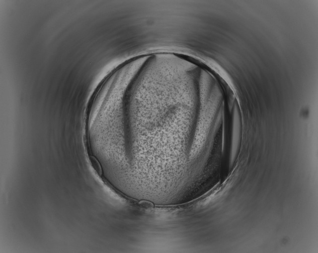 X0000090421005200708031102