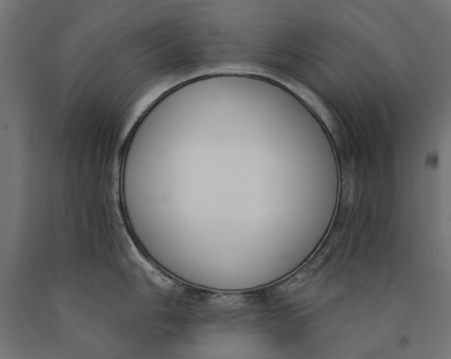 X0000090421006200708031102