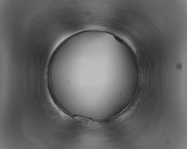 X0000090421007200708031102