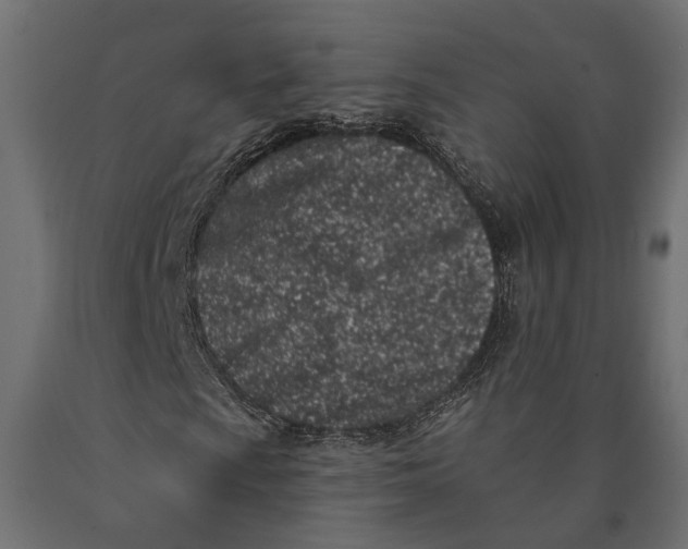 X0000090421009200708031101