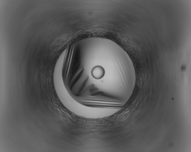 X0000090421010200708031101