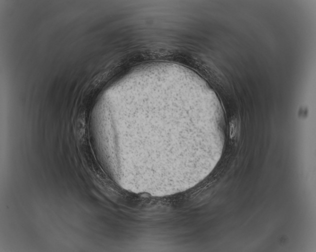 X0000090421011200708031101