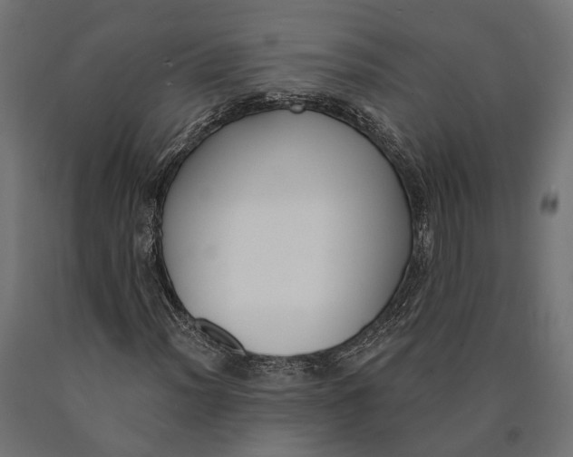 X0000090421012200708031101