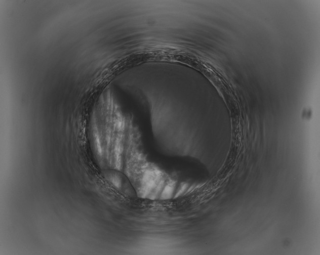 X0000090421013200708031101