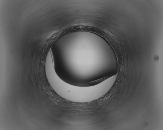 X0000090421014200708031101