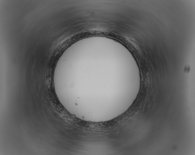 X0000090421015200708031101