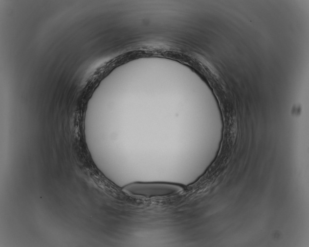 X0000090421016200708031101