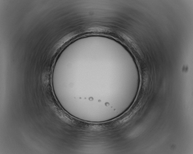 X0000090421017200708031101