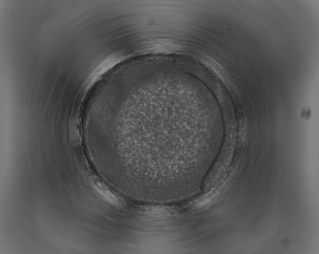 X0000090421018200708031101