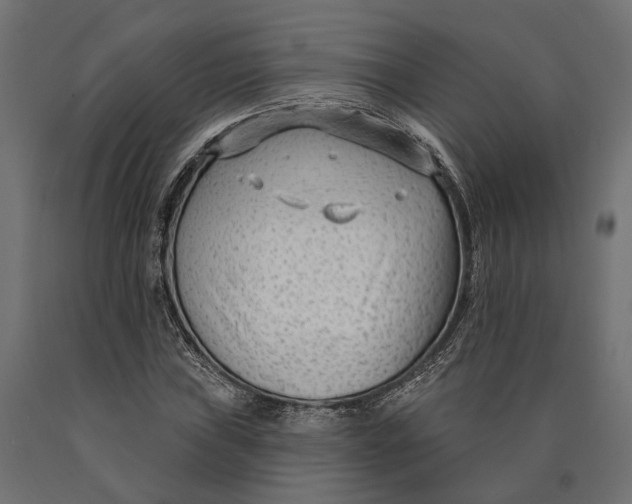 X0000090421019200708031101