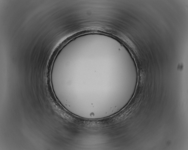 X0000090421020200708031101