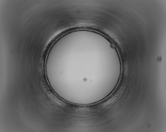 X0000090421021200708031101