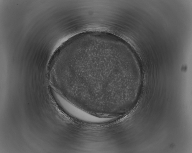 X0000090421022200708031101