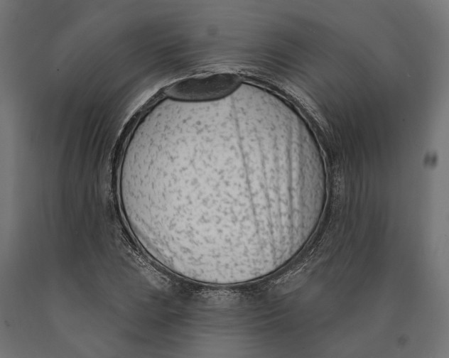 X0000090421023200708031101