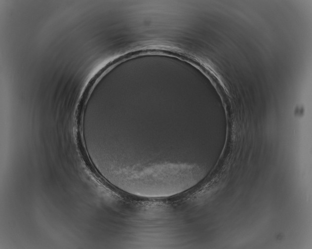 X0000090421024200708031101