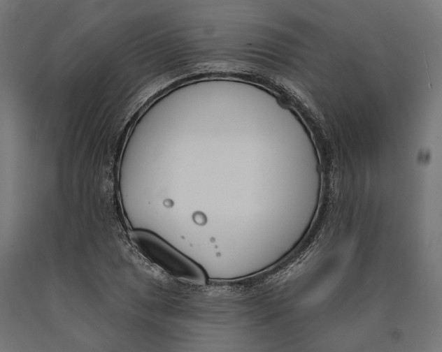 X0000090421025200708031101